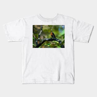 Robin perched on a branch Kids T-Shirt